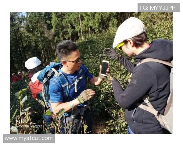 云南卫视搏击真人秀全新篇章挑战极限展现勇者风采